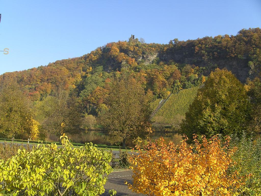 Haus Klosterblick Kröv Buitenkant foto