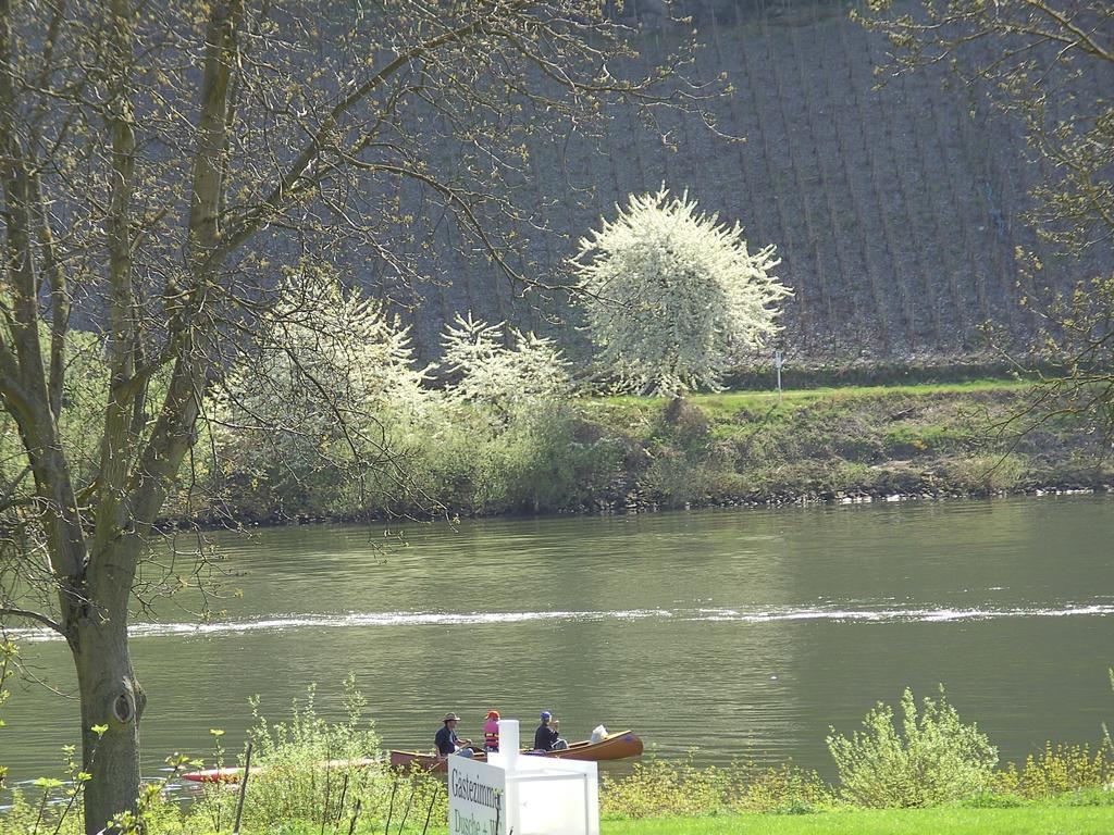 Haus Klosterblick Kröv Buitenkant foto