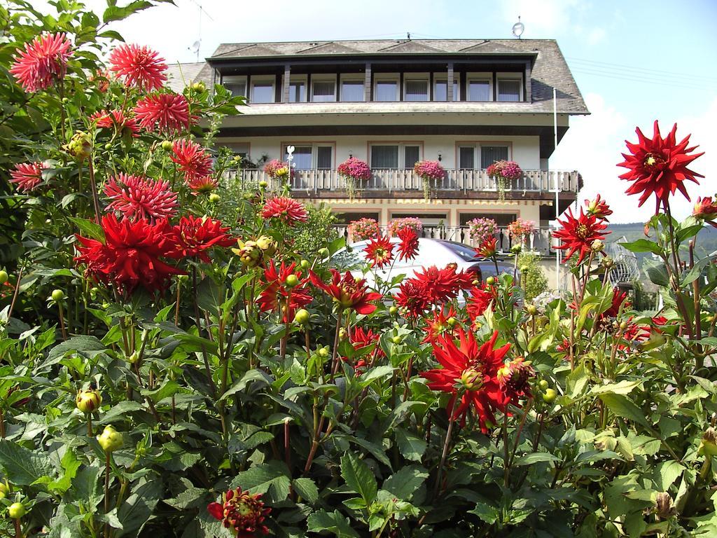 Haus Klosterblick Kröv Buitenkant foto